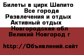 Билеты в цирк Шапито. - Все города Развлечения и отдых » Активный отдых   . Новгородская обл.,Великий Новгород г.